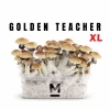 Magic Mushroom Grow Kit Golden Teacher